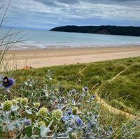 Oxwich Bay Beach