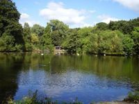 Hampstead Heath (Mixed Pond)