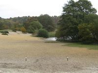 Frensham Great Pond