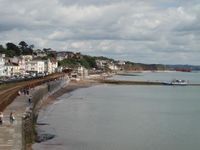 Dawlish Town