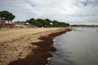 Christchurch Avon Beach