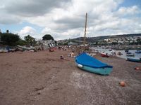 Shaldon