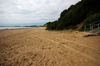 Christchurch Highcliffe Castle