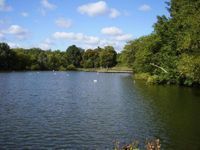 Hampstead Heath (Mens Pond)