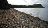 Kimmeridge Bay