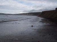 Compton Bay