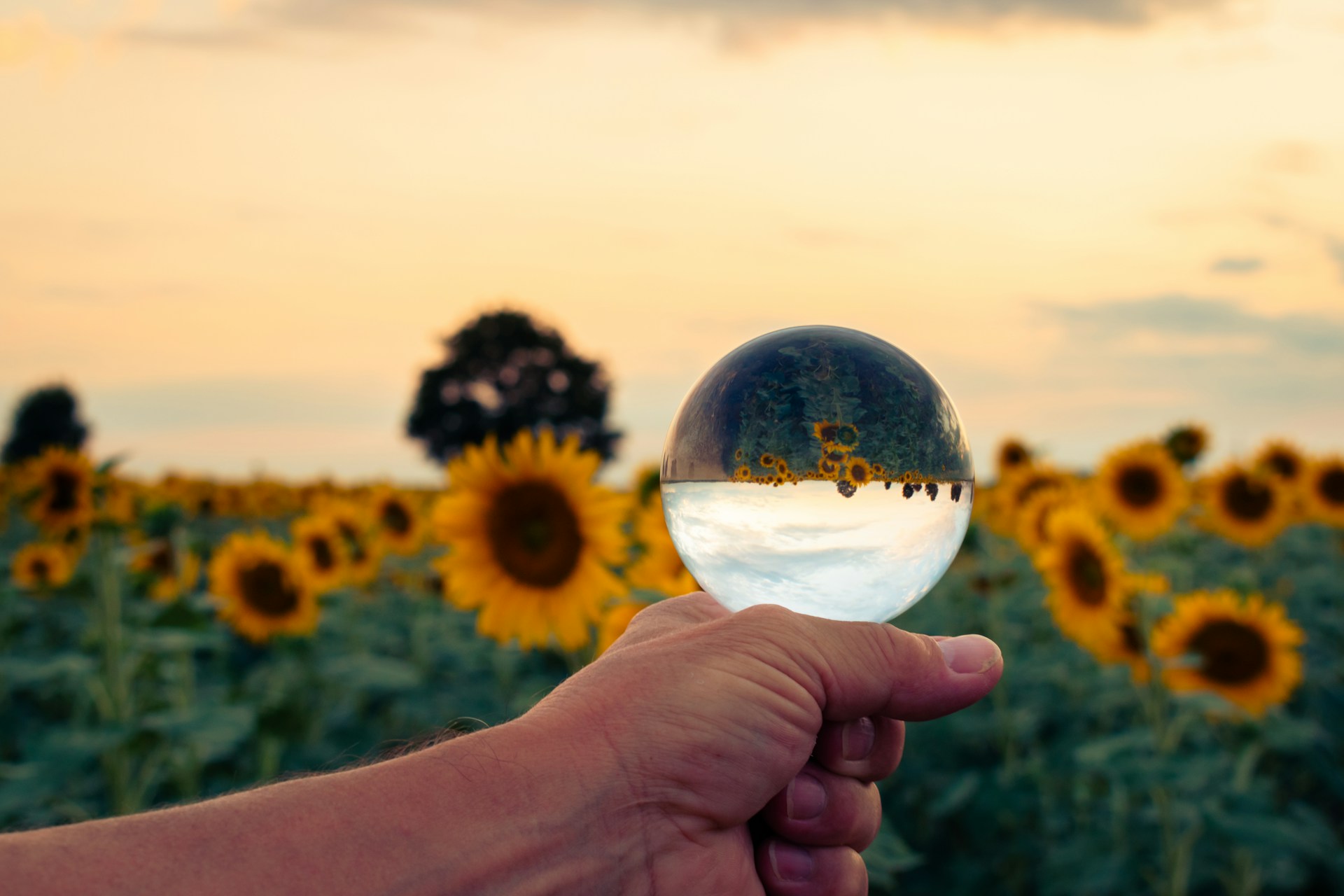 Why We Are Wired to Be Wrong