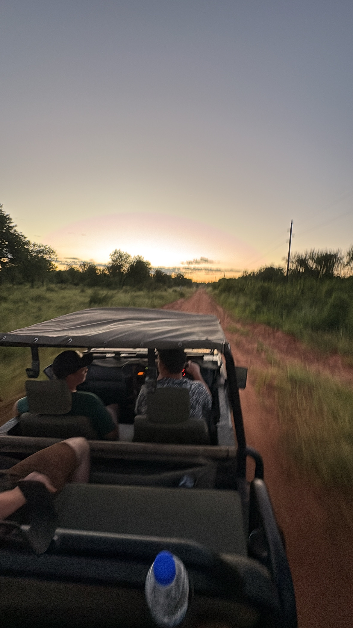 Safari & Animal Spotting