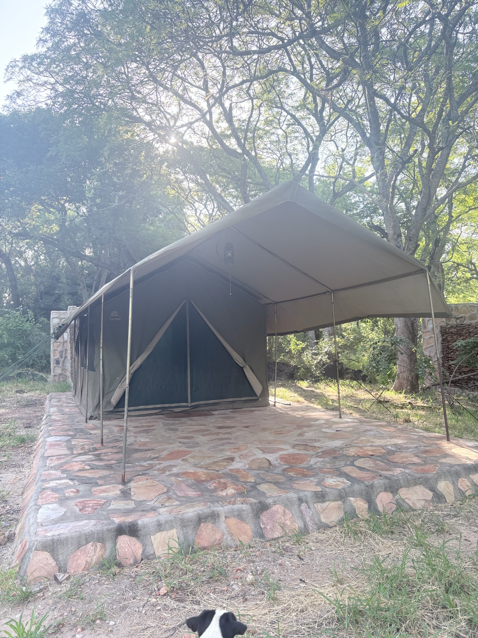 Camp