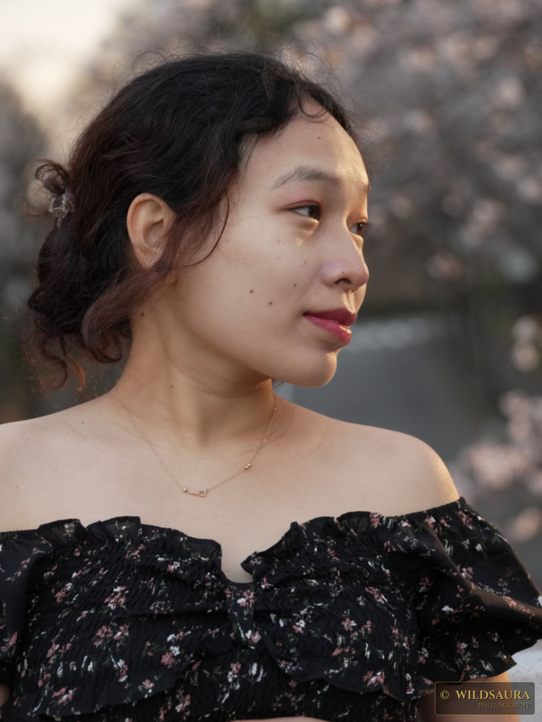 Portrait of a Woman in a Floral Dress
