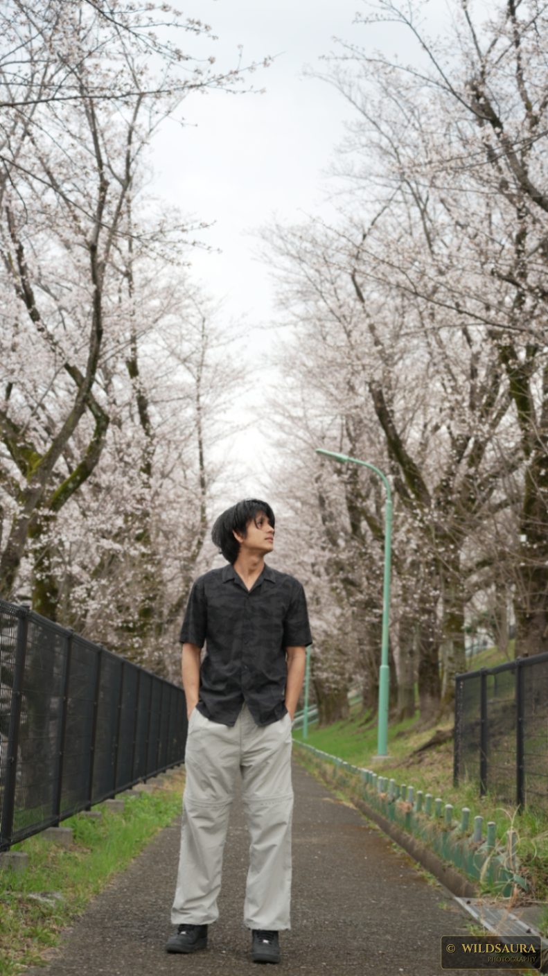 Man Reflecting Amidst Cherry Blossom Trees