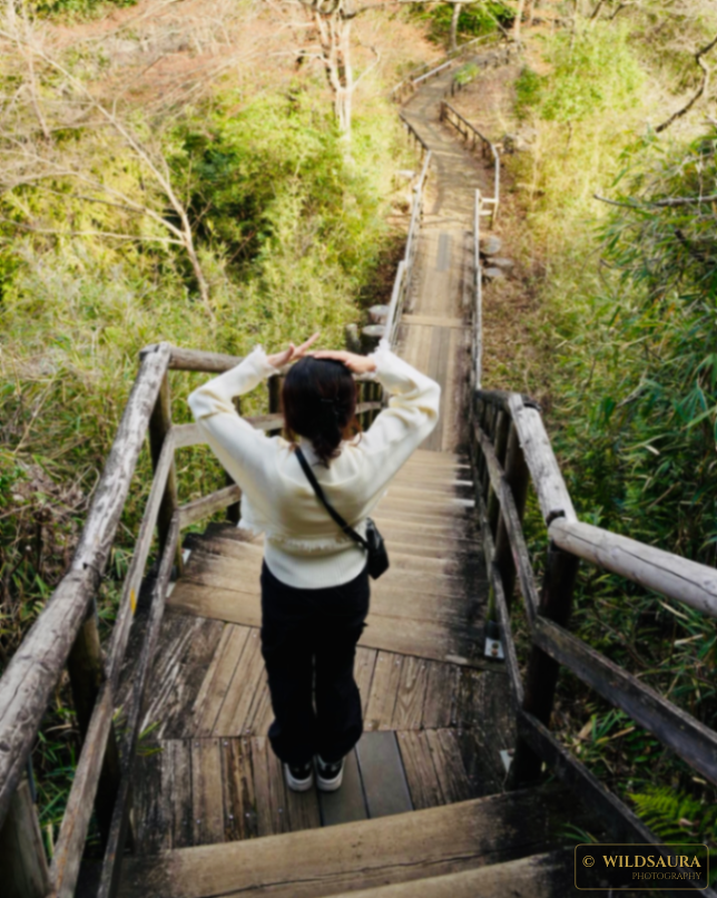 Descending into the Green: A Hiker on a Wooden Staircase