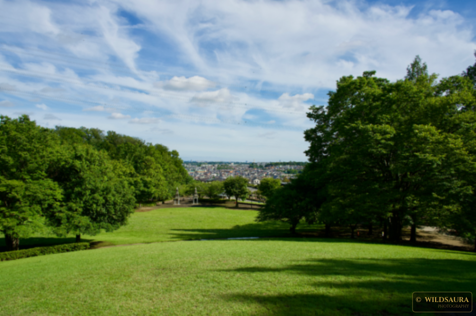 City View from Park