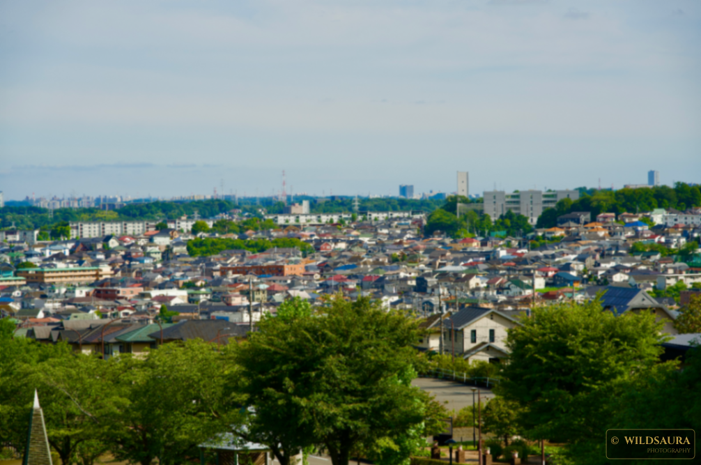 Hazy Townscape Overview