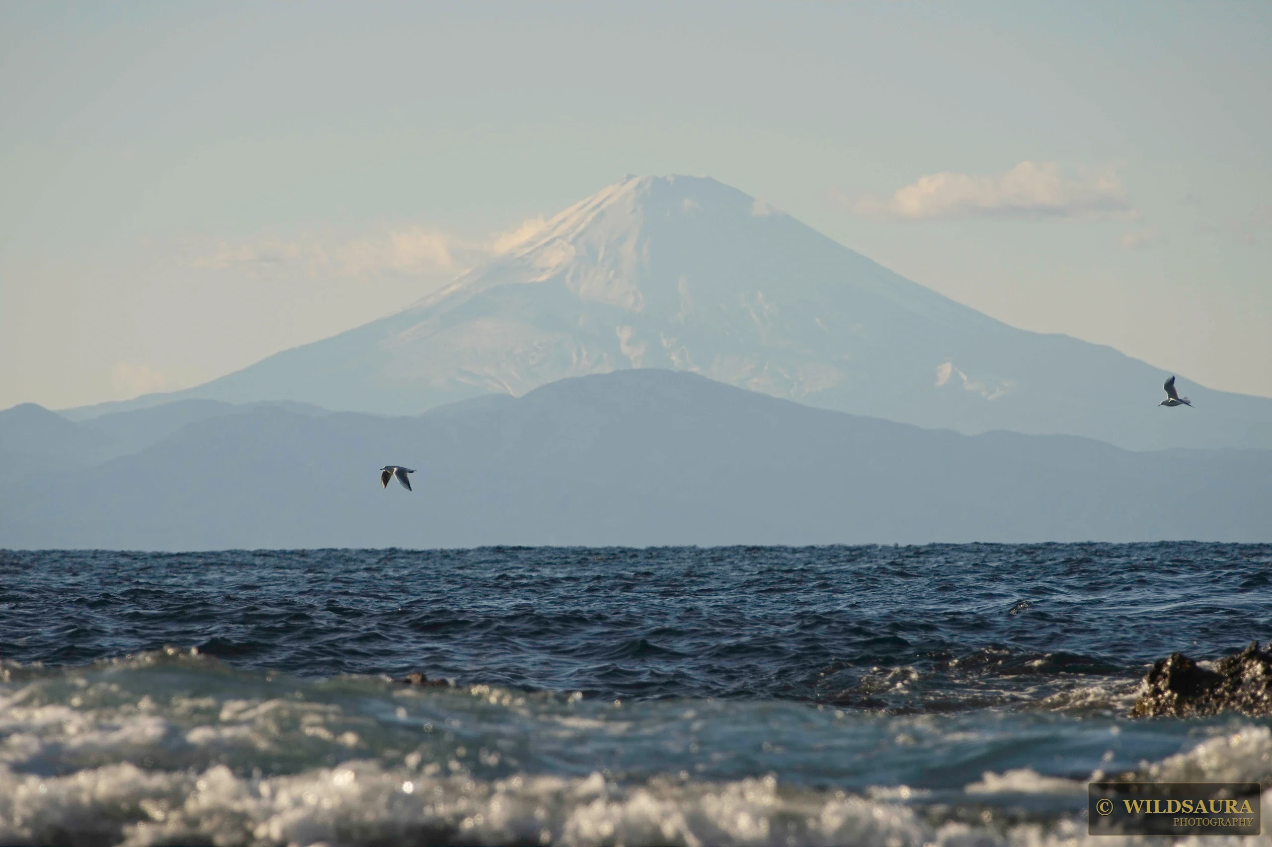 Coastal Flight, Fuji