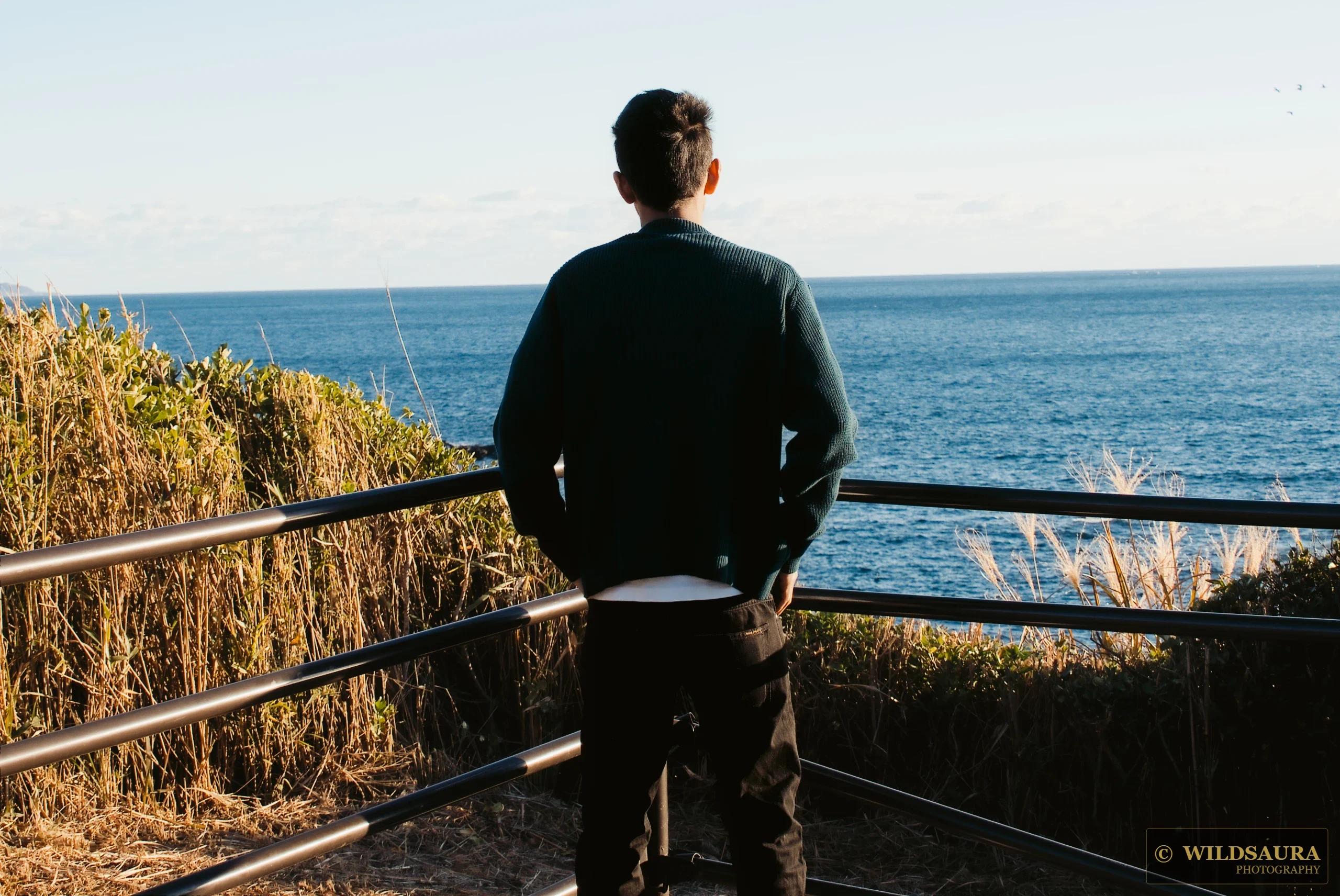Ocean Gaze