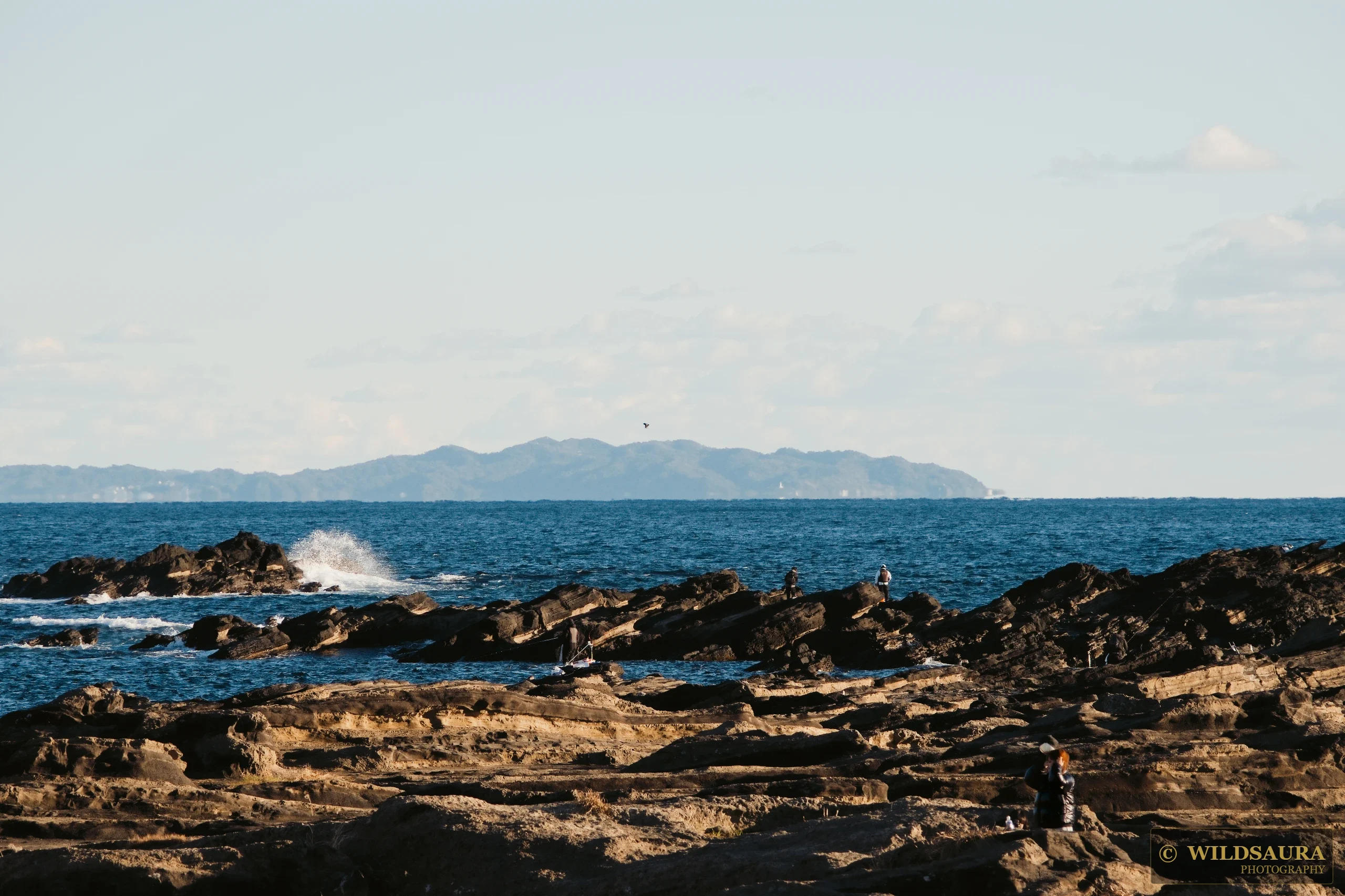 Rocky Shore Fishermen