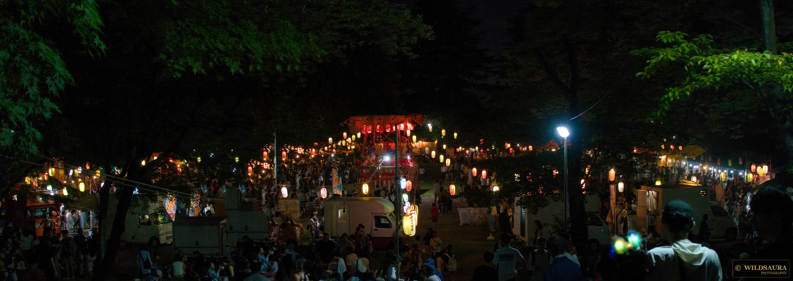 Night Festival Lanterns