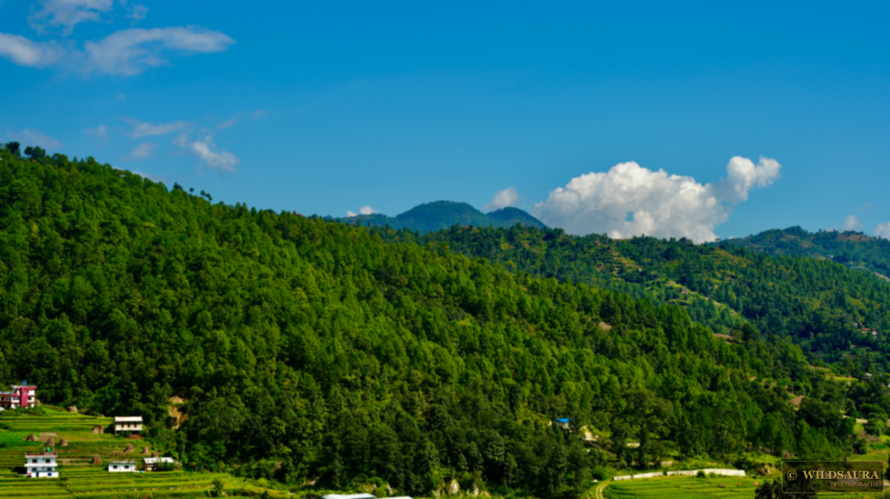 Lush Green Mountain Terraces