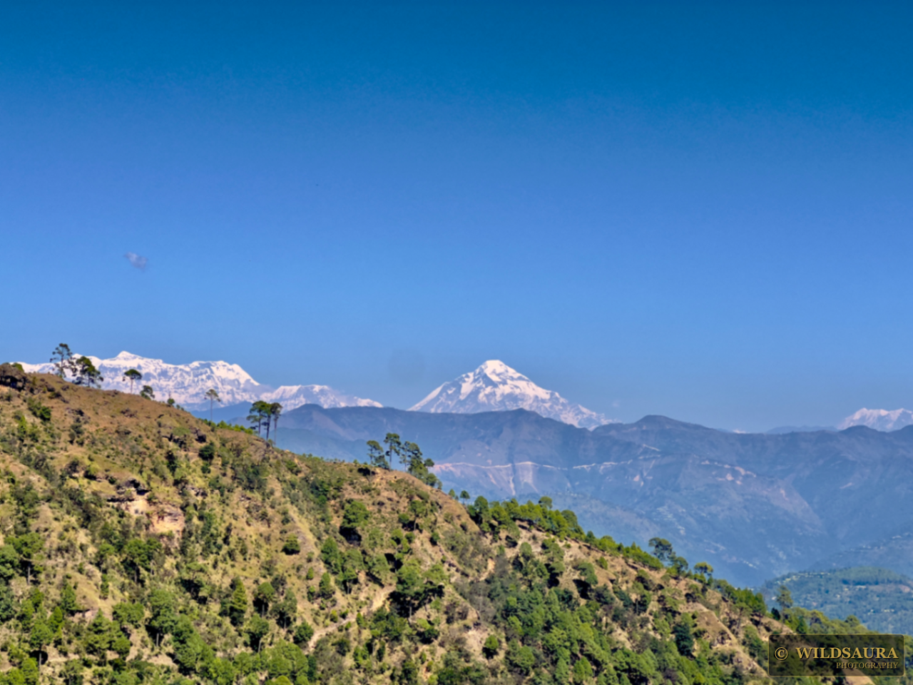 Distant Himalayan Peaks