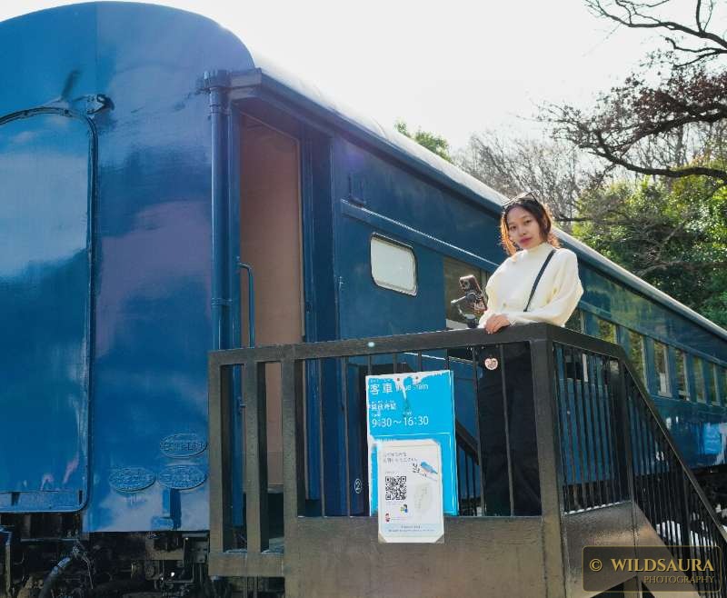 The Blue Carriage and the Woman in White: A Portrait of Ephemeral Grace