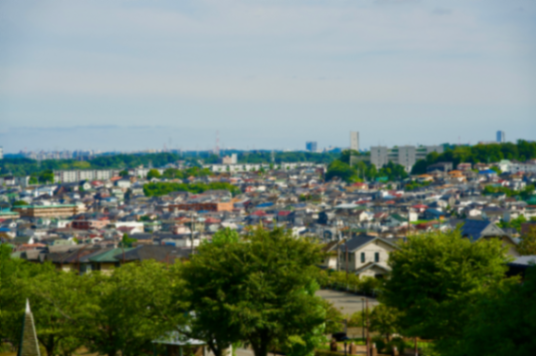 A Patch of Green Above the City story photograph