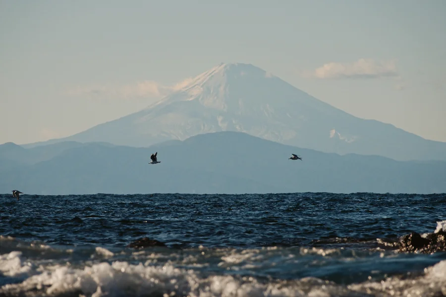 The Gull and the Quiet Lake story photograph