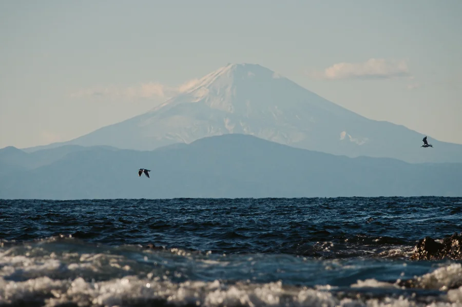 The Gull and the Quiet Lake story photograph