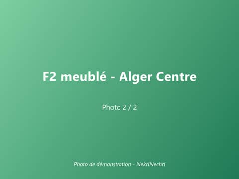 F2 meublé à louer au centre d'Alger – 2