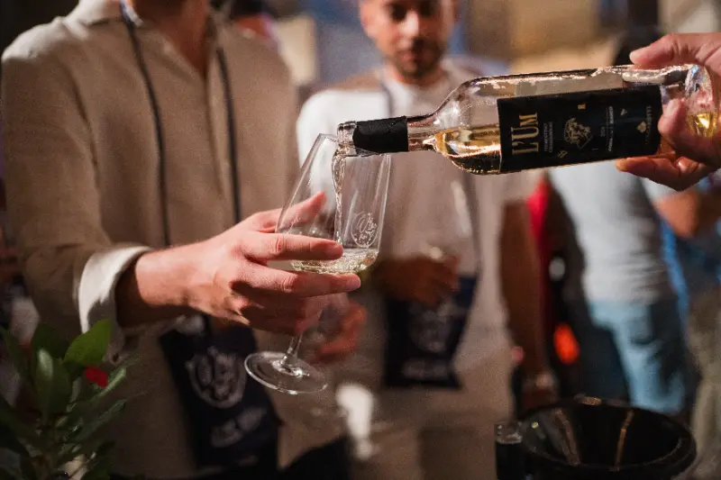 Foto Wine Not?