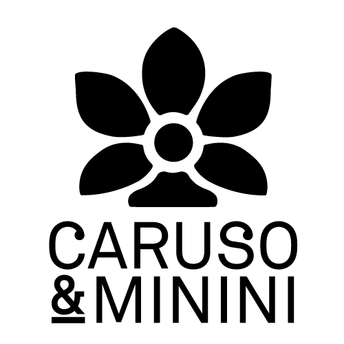 Logo Caruso e Minini