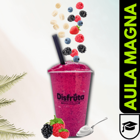 Smoothie Aula Magna | Base: Frutos Rojos