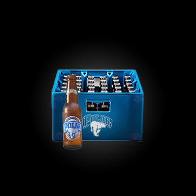 CAJA POLARCITA (222ml)