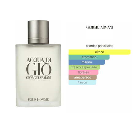 Acqua di Gio EDT (100ml) - Giorgio Armani