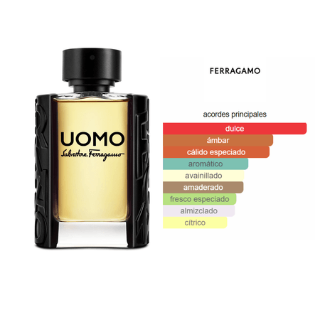 Decant (10ml) - Salvatore Ferragamo Uomo