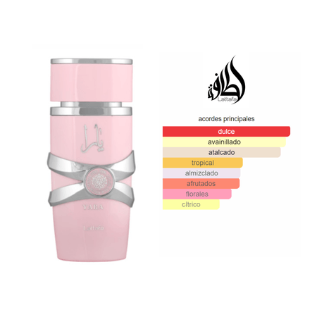 Yara EDP (100ml) - Lattafa