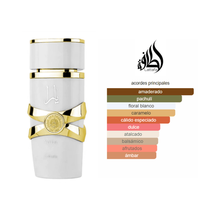 Yara Moi Set 3 Piezas (100ml) - Lattafa 