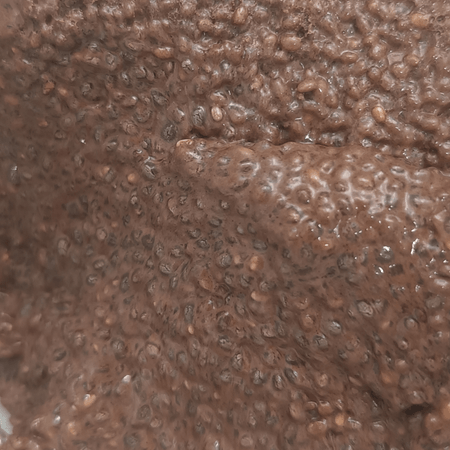 Chia Pudding Cacao
