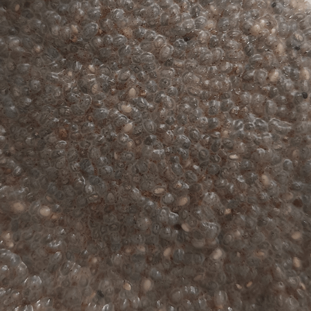 Chia Pudding Cinnamon