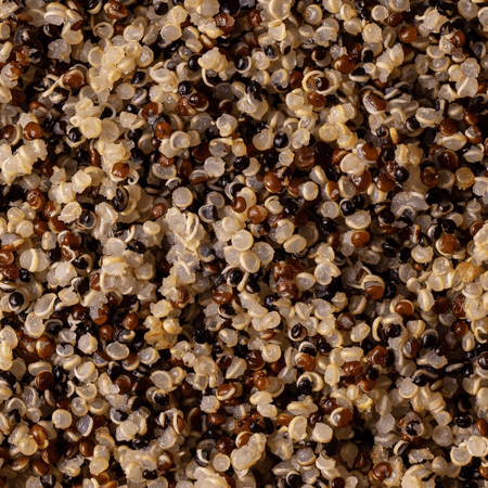 Quinoa tricolor cocida