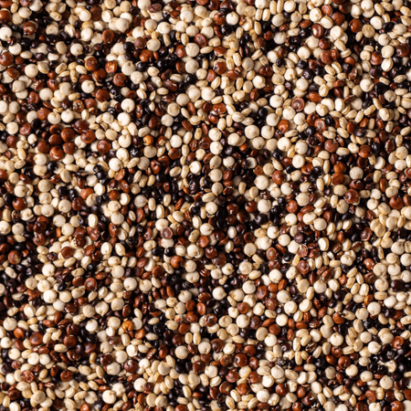 Quinoa tricolor cruda