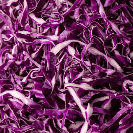 Repollo morado