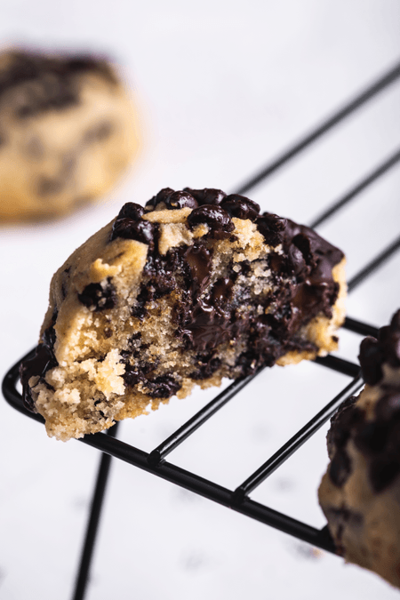 Chocolate Chip MOREkie 