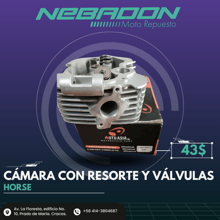 CAMARA CON RESORTES Y VALVULAS  HORSE 1X8 