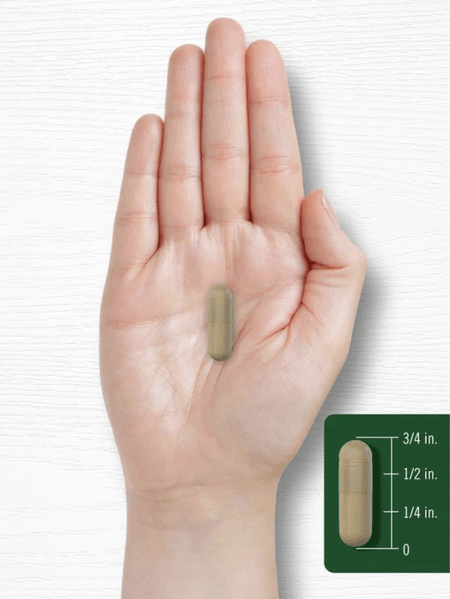 Centella Asiática (Gotu Kola) 1500 mg 180 cápsulas Carlyle