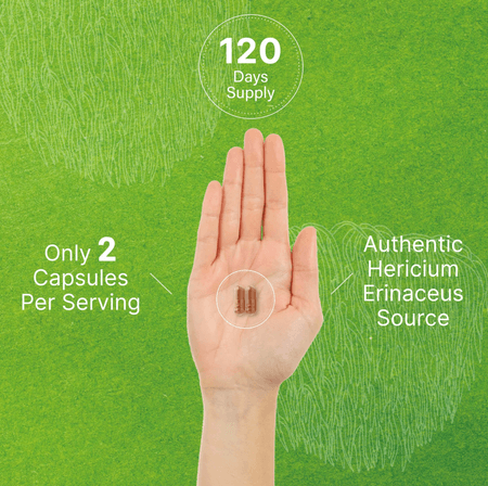 Melena de León 7500 mg 240 cápsulas Deal Supplement