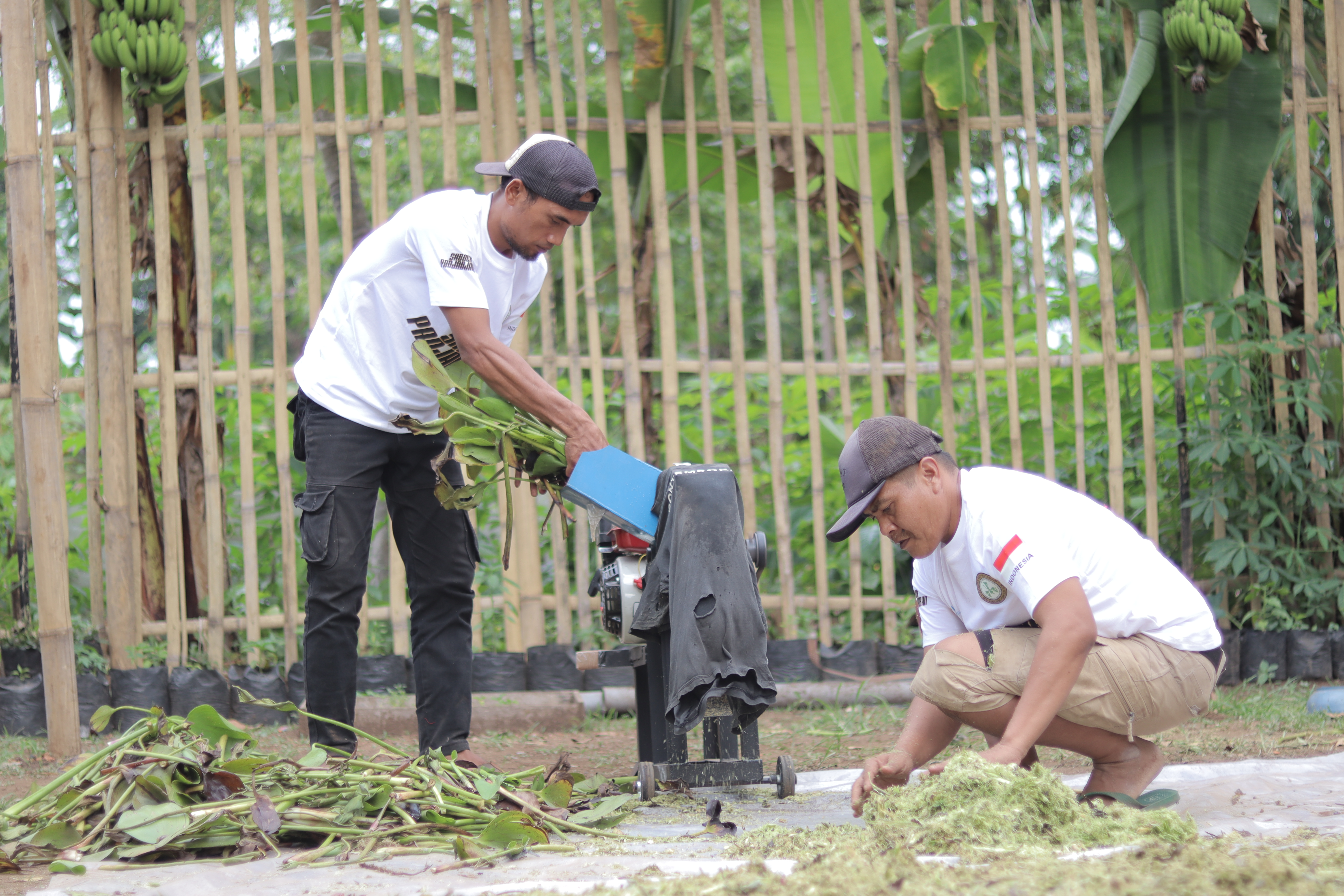 Saboer Padjadjaran