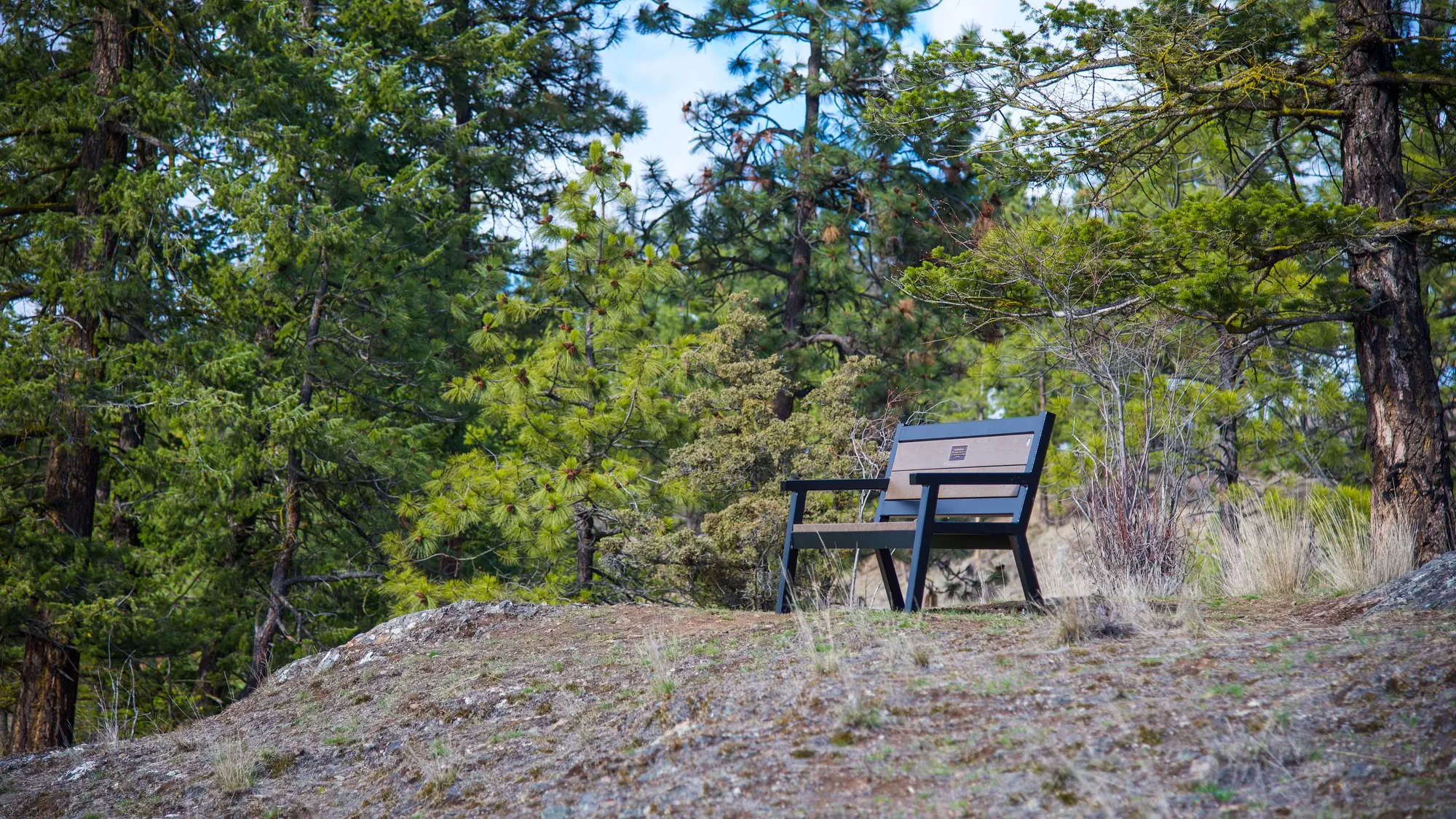 Wishbone Rutherford  Memorial Bench in Kelowna, BC