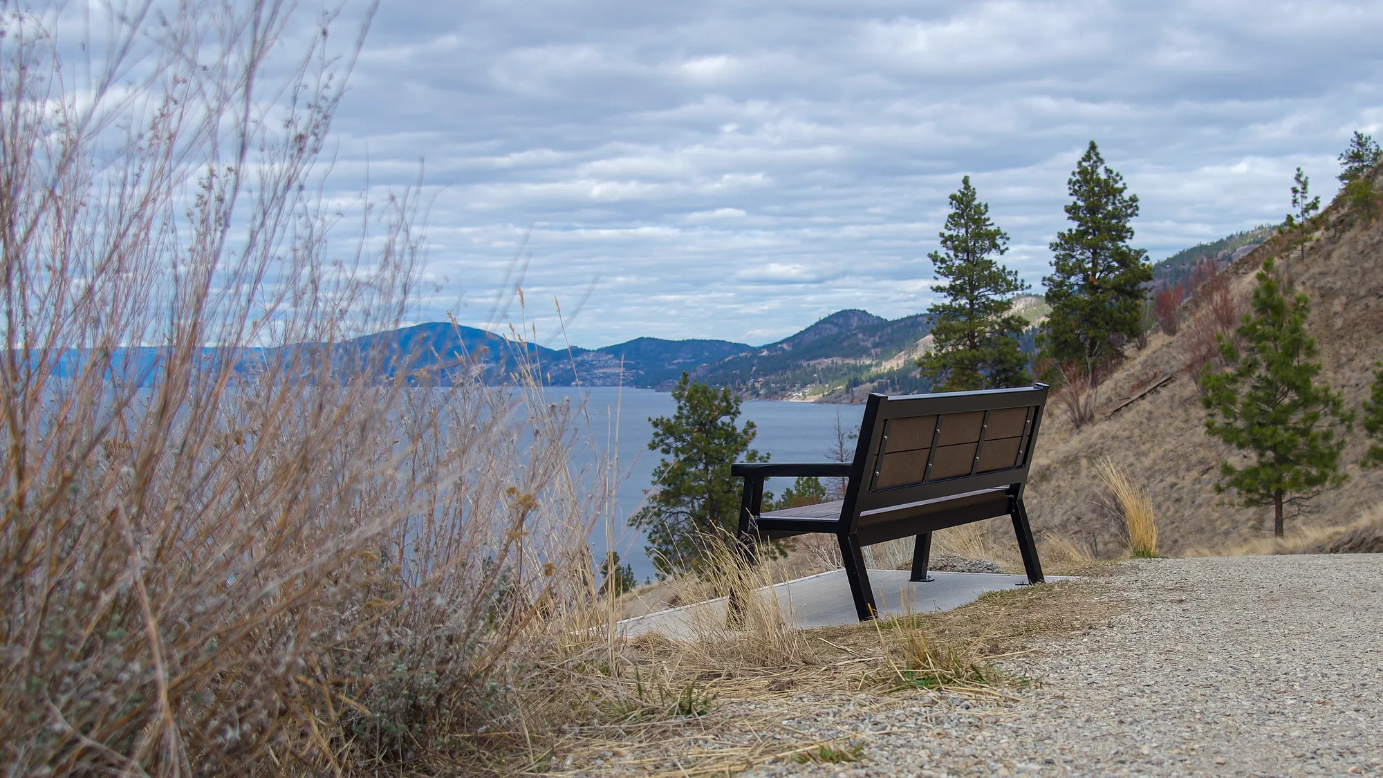 Wishbone Rutherford Memorial Bench at Knox Mountain Park in Kelo