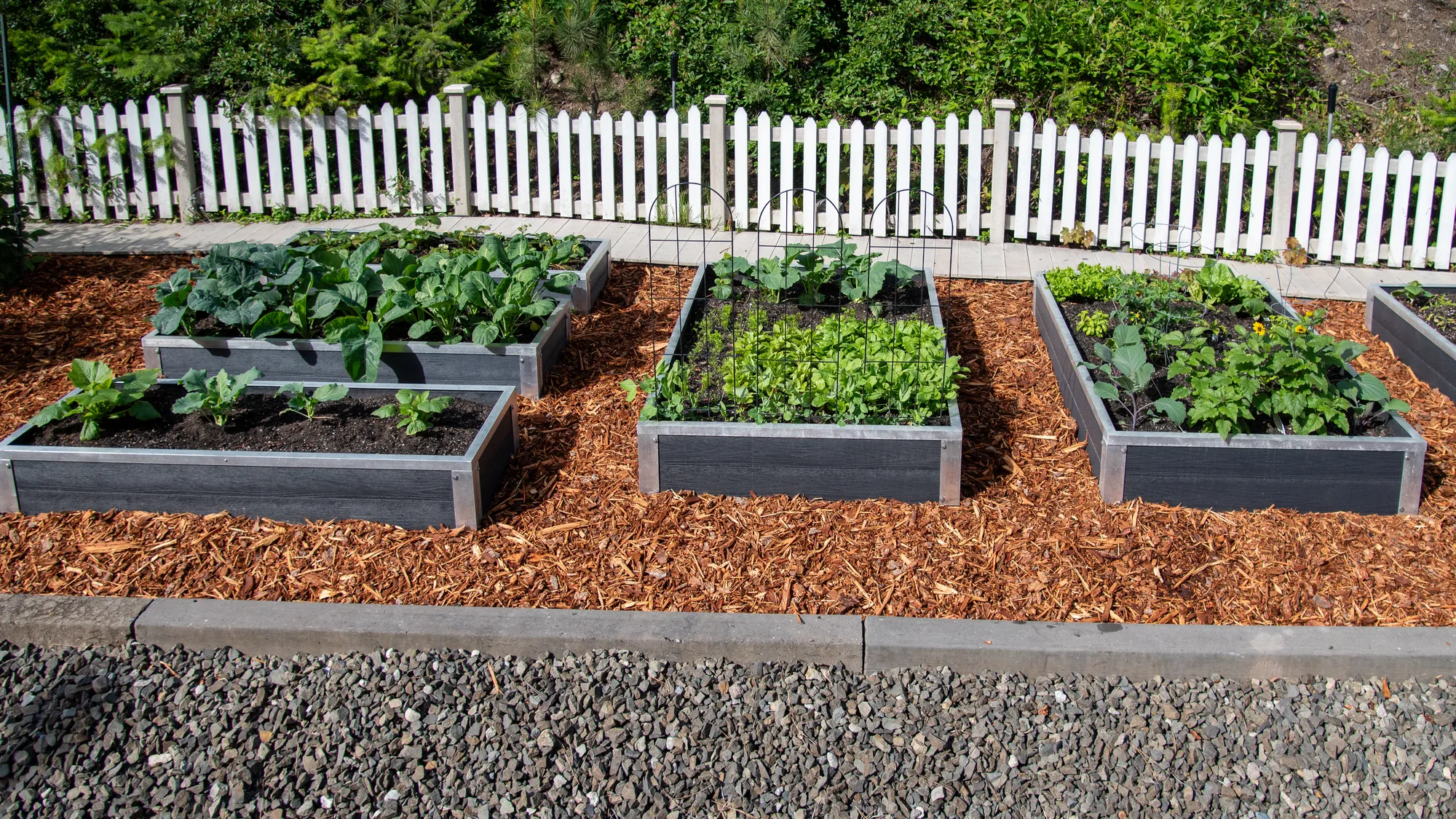 Wishbone Abundance Raised Planter Boxes in West Kelowna, BC